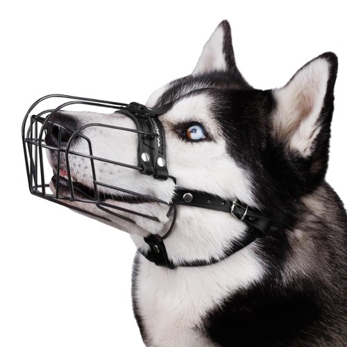 Museau chien réglable - museau, en