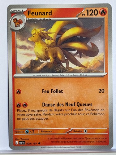 Feunard 029 197 flammes - feunard,