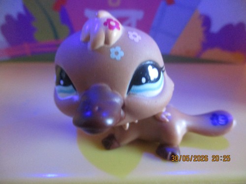 Petshop ornithorynque 1395 - ornithorynque, #1395