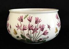 PORTMEIRION- BOTANIC GARDEN -