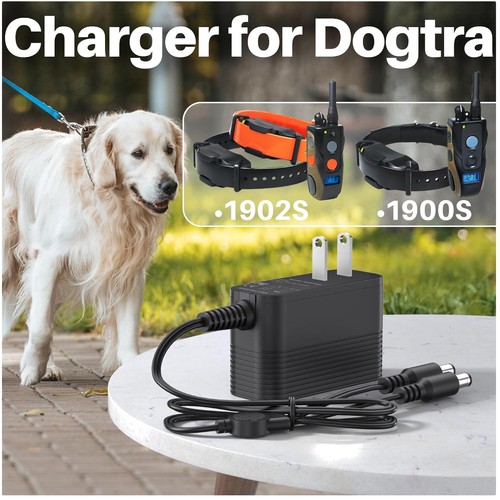 Dogtra edge 10v - rt, replacement