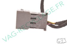 ♻️Fiche plate femelle 3