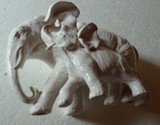 bel éléphanteau et sa mère