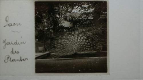 Photo stereo plaque - de, verre
