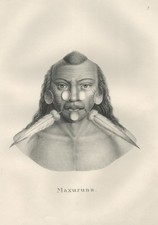 Maxuruna Brésil Costumes Lithographie Brodtmann 1824