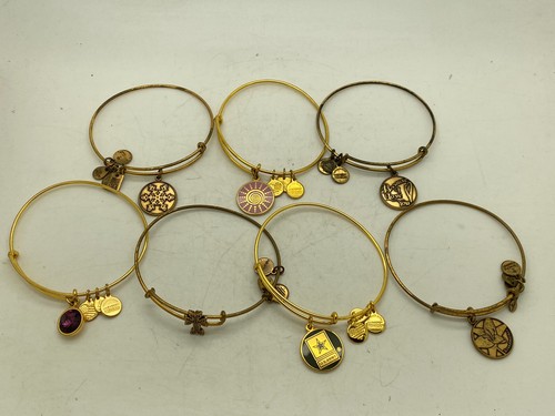 Lot alex and ani - lot,
