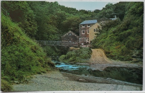 Carte postale vintage robin - carte,