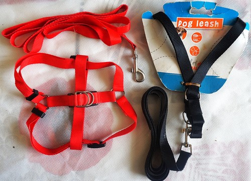 Harnais laisse pog leash - et,