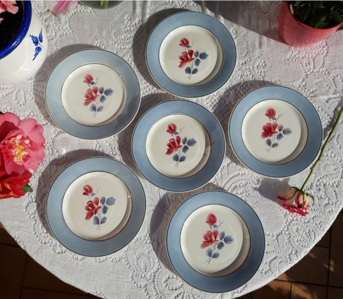 Belles assiettes digoin - 6,