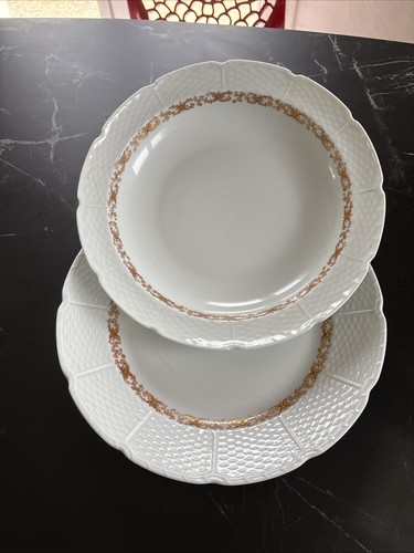 Plats lot raynaud - 2,
