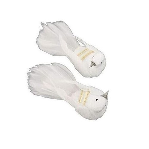 Petit couple colombe - de,