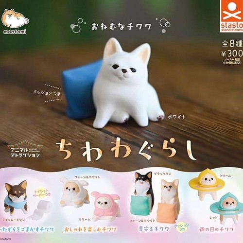 Chihuahua living dog - , set