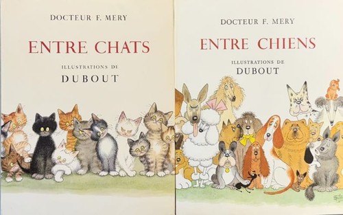 Mery entre chats - entre,