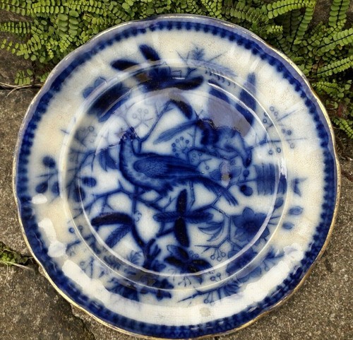 Assiette ancienne polychrome - assiette,