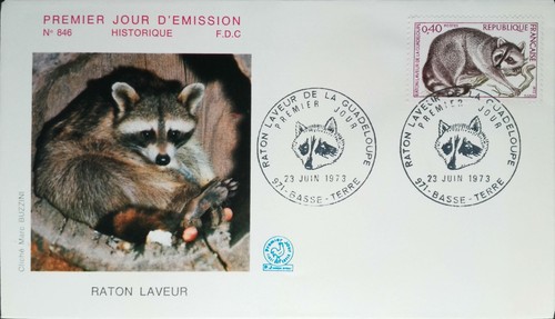 1973 raton laveur - 1973, raton-laveur