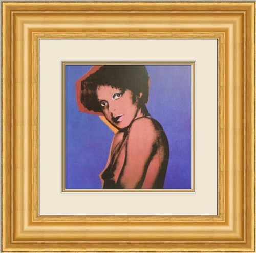 Andy warhol pop art - warhol, corice