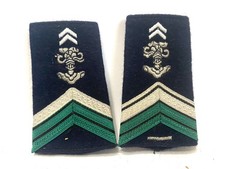Insigne fourreau de patte