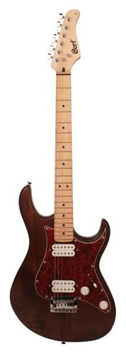 Cort g100 g series - cort,