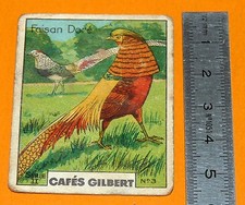 CHROMO 1920 1930 CAFE GILBERT FAISAN DORE SERIE II N°3 OISEAU CHASSE