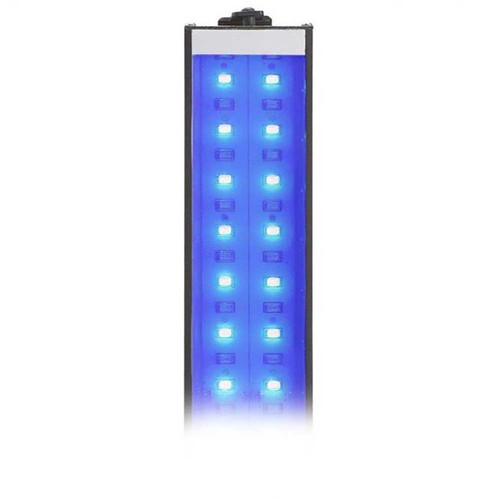 Actinic blue lumi lite pro - 36",