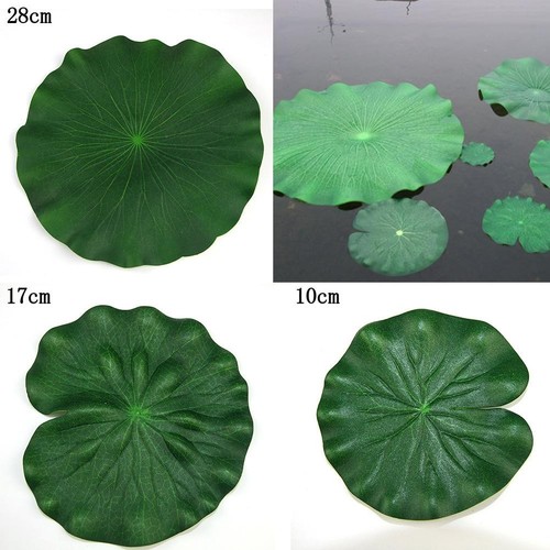 Lotus feuille eau - eau, lis