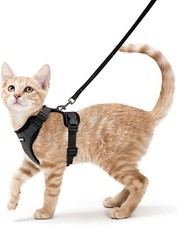 Harnais pour chats ou petits chiens. Neuf. En XS ou S pour chats de ttes tailles