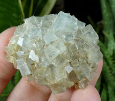 Cubes Fluorite bleuté