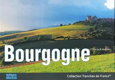 Bourgogne sébastien chabard - bourgogne,,