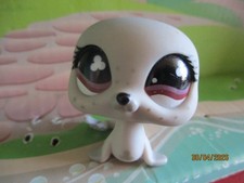 Petshop phoque 616 avec - n°616,
