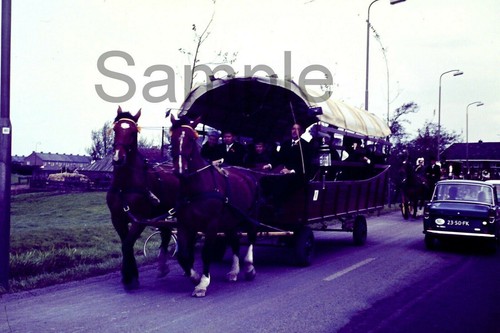 1960s vintage cheval - 1960s,