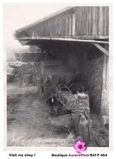 AGRICULTURE 1943, LE BATTAGE DU BLÉ,  MATÉRIEL AGRICOLE, BATTEUSE, FERME  -P464
