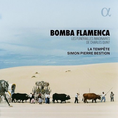Tempête bomba flamenca - tempête,