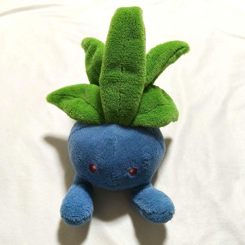 Peluche pokemon étrange objet - peluche,