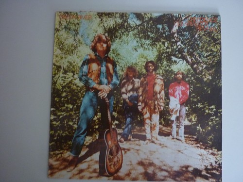 Disque vinyle tours green - tours,