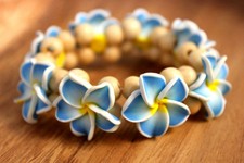 Two Hawaii Jewelry Plumeria