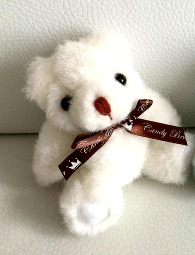 Ours mini peluche ourson blanc - ourson,