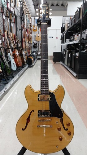 Guitare électrique stafford - guitare,