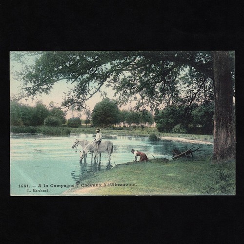 Cpa campagne chevaux - chevaux, à
