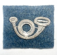 RARE Insigne béret officier