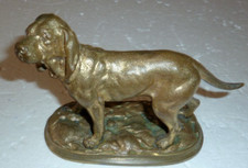Superbe chien chasse en - superbe,