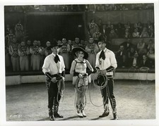 "CAMP-VOLANT (MARKO DER