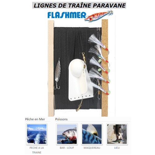 Ligne traîne bateau - de,