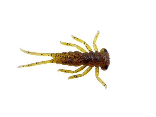 Neuf 2026 delalande - delalande, larva