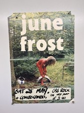 Affiche Du Concert De Cas Rock