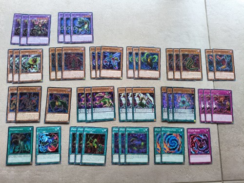Deck prédaplante - oh, !