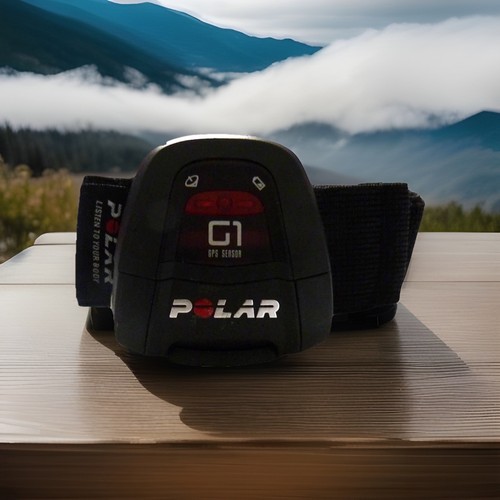 Polar gps sensor - g1,