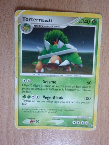 Carte pokémon rare torterra - rare,