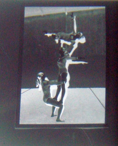 Photo negative strips - photo,
