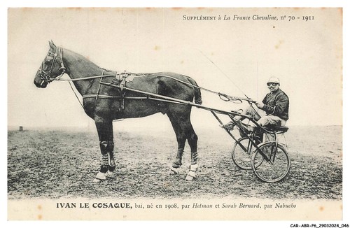 Car abrp6 0516 hippisme ivan - -,