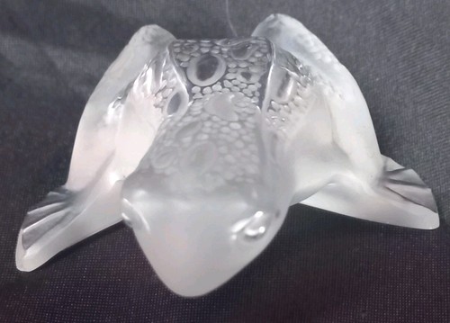 Grenouille cristal incolore